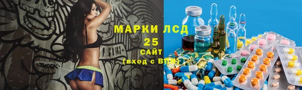 эйфоретик Баксан