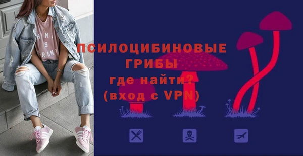 бутират Белокуриха