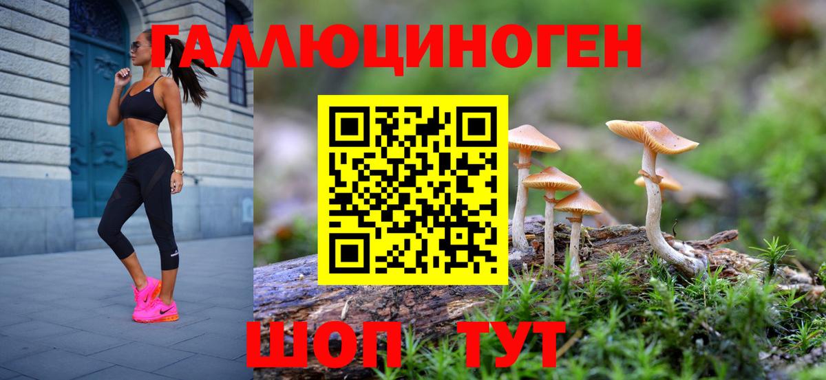 Галлюциногенные грибы мицелий Кунгур