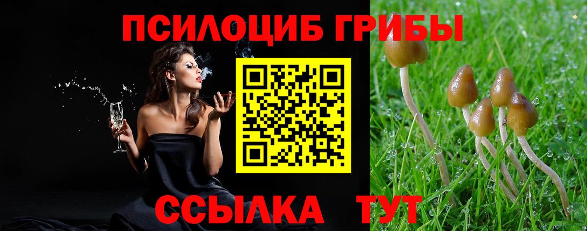 Кунгур  Галлюциногенные грибы мухоморы  Вход с VPN 