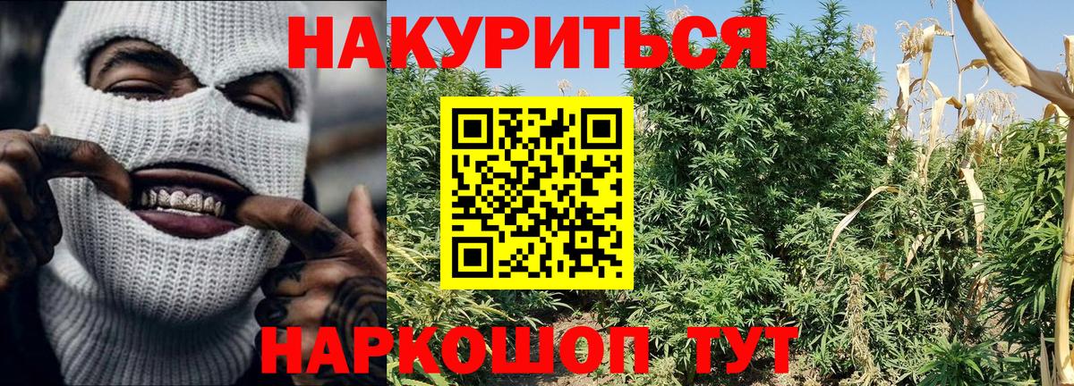 Бошки Шишки конопля  Вход с VPN  Бошки Шишки индика  Кунгур  Марихуана MAZAR 